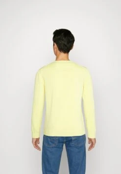 Lacoste Strickpullover - Yellow 10 Lacoste Strickpullover - Yellow -Lacoste 0fe2af9e4d9e48eeb72ca9b9bb4c4cc1