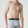 Lacoste PACK 3 - Panties - Heidekraut Grau 1 Lacoste PACK 3 - Panties - Heidekraut Grau -Lacoste 3299e4d071654ed3bc425a861bba3c06