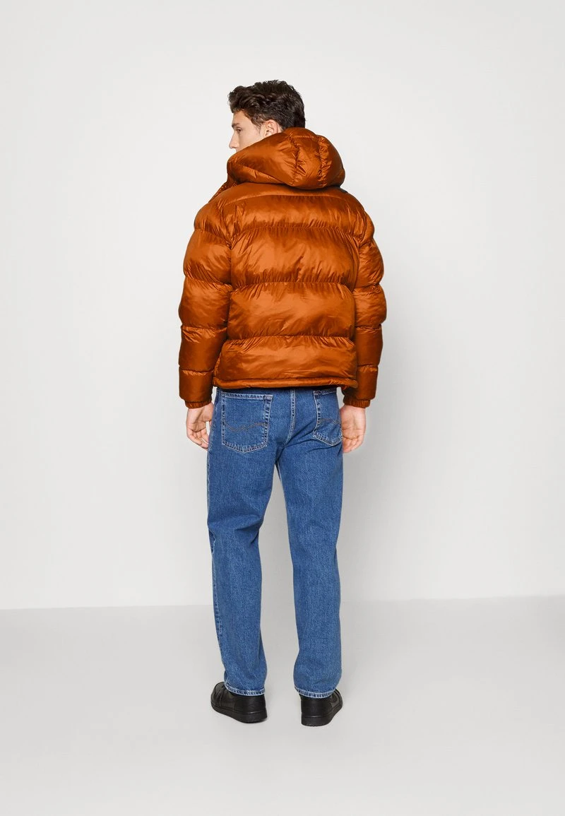 Lacoste Winterjacke - Liquor/black 5 Lacoste Winterjacke - Liquor/black – Bild 3