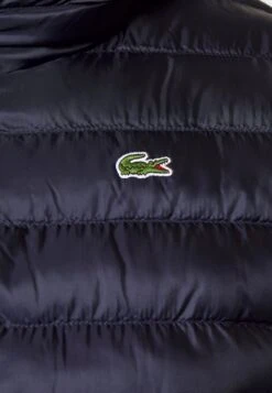 Lacoste Winterjacke - Bleu Marine -Lacoste 3654552005ac4fadb601c745d684f22a