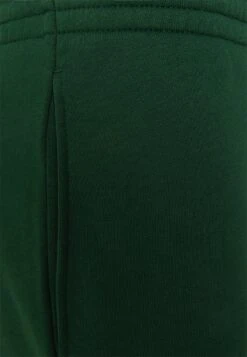 Lacoste Jogginghose - Vert 10 Lacoste Jogginghose - Vert -Lacoste 3d1e9d5c7c824114b6ce233d60cc4dc5