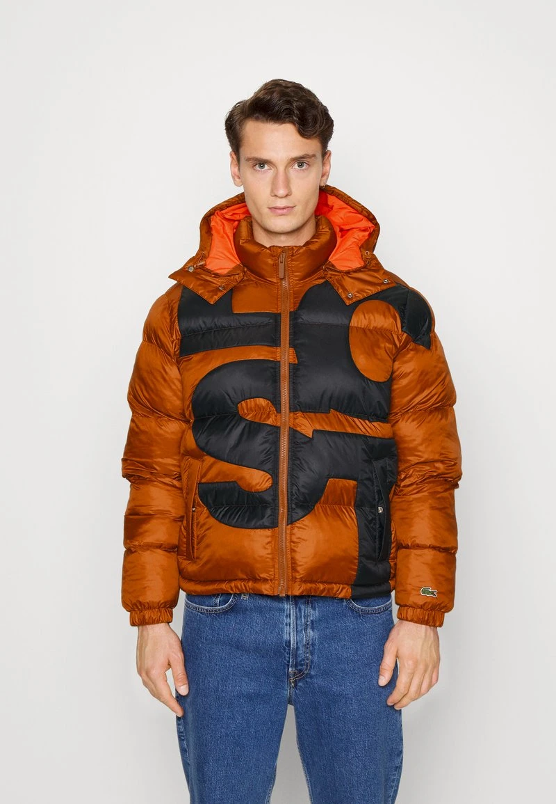 Lacoste Winterjacke - Liquor/black 3 Lacoste Winterjacke - Liquor/black