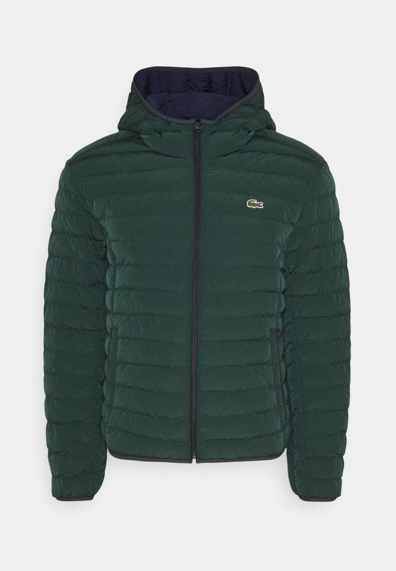 Lacoste Winterjacke - Sinople 3 Lacoste Winterjacke - Sinople
