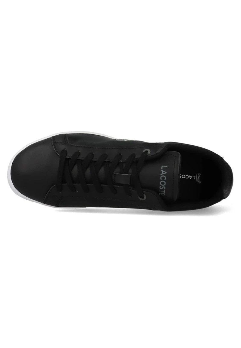 Lacoste CARNABY PRO BL23 1 SMA - Sneaker Low - Blk/wht 4 Lacoste CARNABY PRO BL23 1 SMA - Sneaker Low - Blk/wht – Bild 2