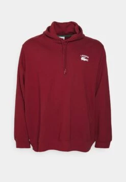 Lacoste PLUS SIZE - Kapuzenpullover - Marine 13 Lacoste PLUS SIZE - Kapuzenpullover - Marine -Lacoste a1991911134f4db0b8d9c702b04b4953