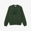 Sweatshirt - Green 2 Sweatshirt - Green -Lacoste e07f76e9531d432489ab39c75fd8bab6 1